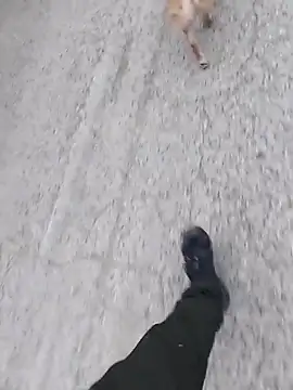 Axelitoc online show from 03/05/26, 06:10