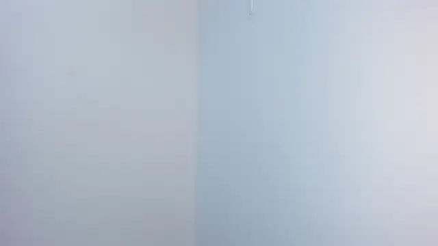 stephane rouss online show from 11/18/25, 08:56