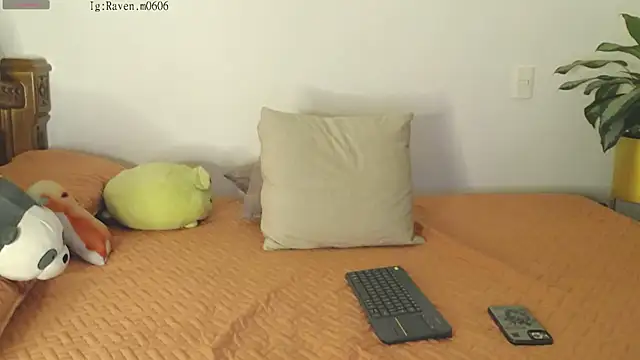 Raven06  online show from 11/11/25, 12:05