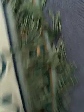 Snapshot of Attila120 chatting on 02/22/26, 07:55 Attila120 online show from 02/22/26, 07:55