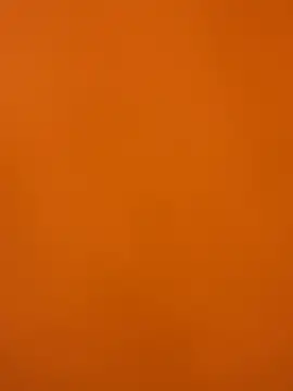 XanderOzzz online show from 12/02/25, 08:32