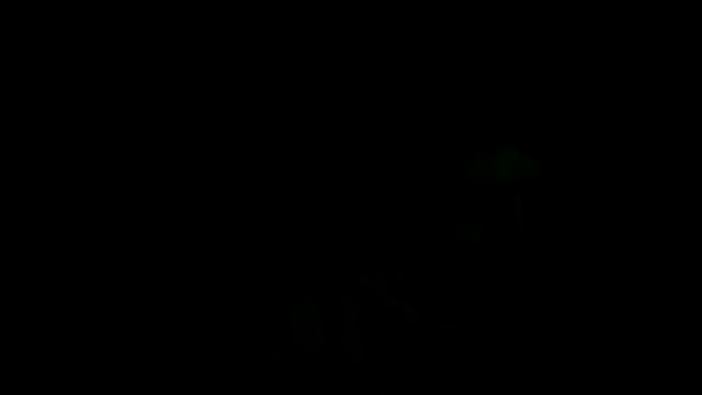 XanderOzzz online show from 04/15/26, 07:03