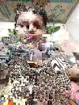 Payel 50 online show from 05/25/26, 04:28