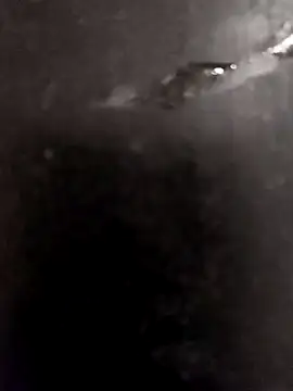 Sakshi4u online show from 02/05/26, 09:27