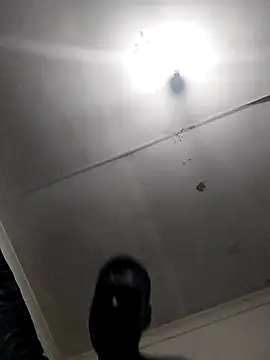 TmanZim2025 online show from 04/14/26, 07:19