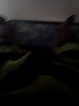 Snapshot of ceyloanboy chatting on 05/19/26, 01:56 ceyloanboy online show from 05/19/26, 01:56