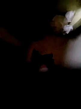 Snapshot of Vizgeboys chatting on 10/16/25, 12:52 Vizgeboys online show from 10/16/25, 12:52