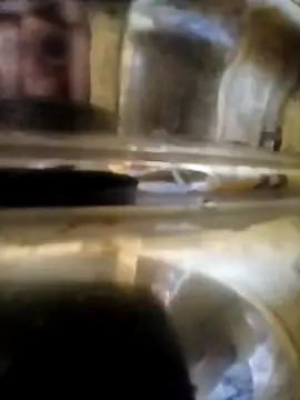 Snapshot of Vizgeboys chatting on 10/06/25, 09:43 Vizgeboys online show from 10/06/25, 09:43