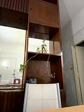 caritadeangellll online show from 01/14/26, 11:30