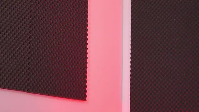 EllieRedd online show from 12/21/25, 05:20