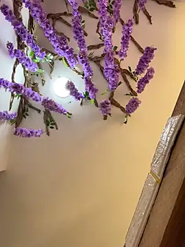 burbuja02 online show from 04/04/26, 02:34