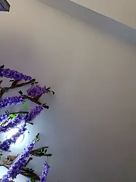 burbuja02 online show from 04/05/26, 02:35