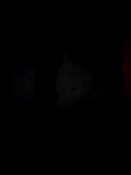 Chathutharu online show from 02/20/26, 10:01