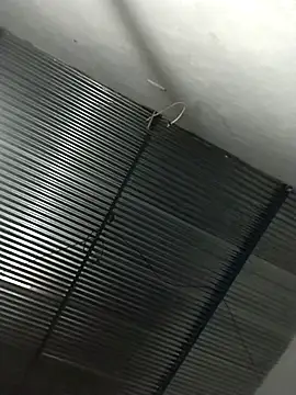 lucerocutte online show from 11/16/25, 06:07