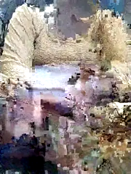 Snapshot of Gopika_Dudi chatting on 03/02/26, 01:39 Gopika Dudi online show from 03/02/26, 01:39