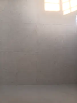 VJ17 online show from 11/17/25, 11:03