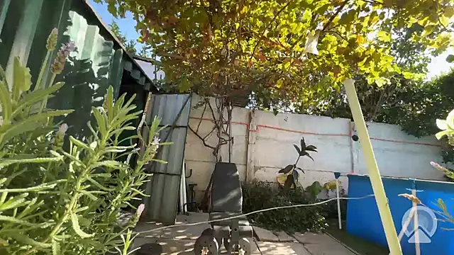 feeelipe2007 online show from 03/27/26, 02:07