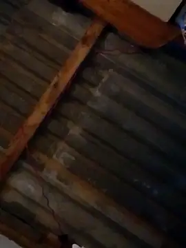 LUISSLEONN0958 online show from 09/25/25, 09:04