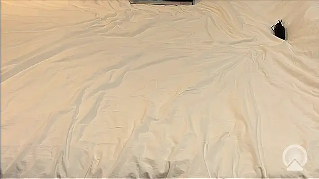 Snapshot of myPriority01 chatting on 01/09/26, 01:40 myPriority01 online show from 01/09/26, 01:40