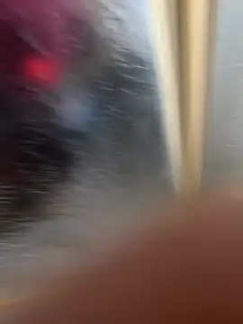 LicitInvader online show from 02/12/26, 08:03