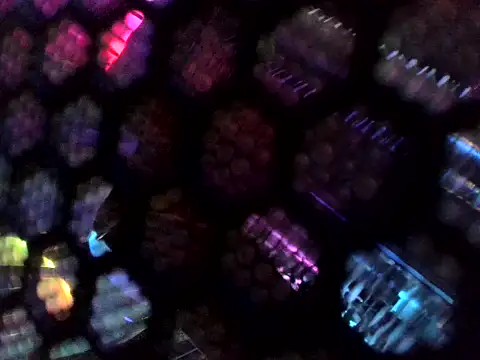 Wyrolowanyyy online show from 04/15/26, 12:27