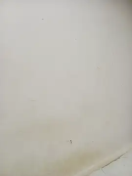 Dani 34velan online show from 09/17/25, 04:58