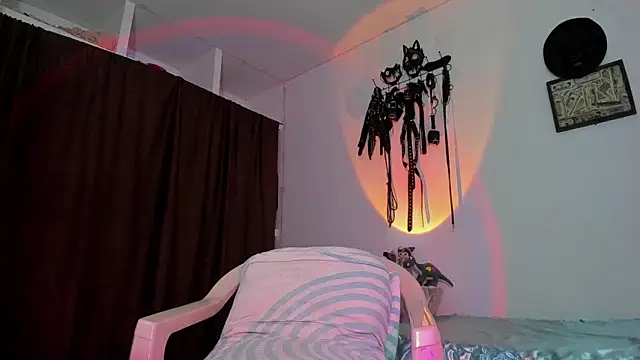 dex 55 online show from 04/02/26, 05:58