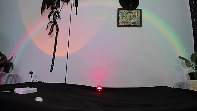 dex 55 online show from 05/12/26, 10:27