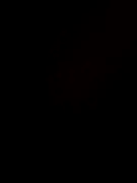 Beurberry19 online show from 10/27/25, 05:25