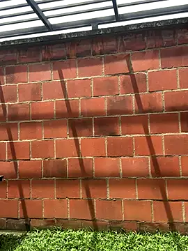 Andrew Johnnson online show from 10/24/25, 04:50