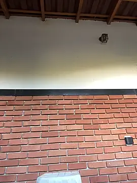 Dunot   online show from 12/21/25, 09:22