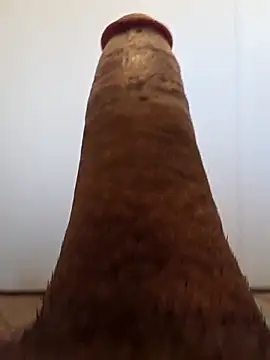 Snapshot of BooBooKittyFuhck chatting on 11/12/25, 06:34 BooBooKittyFuhck online show from 11/12/25, 06:34