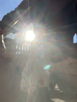 Mexxwell69 online show from 11/04/25, 11:47