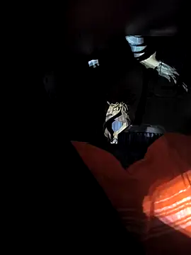 rajdehli online show from 04/18/26, 05:04