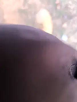 rajdehli online show from 03/26/26, 12:03