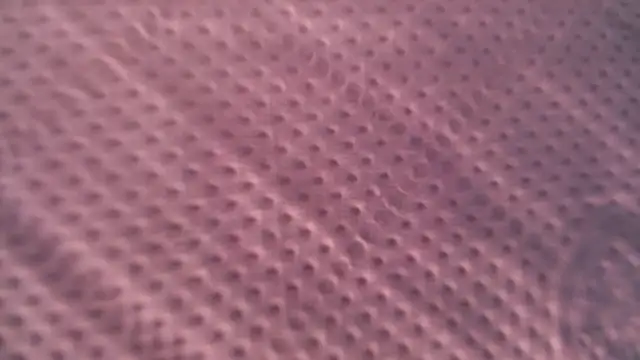 Liz Hu online show from 10/09/25, 12:49