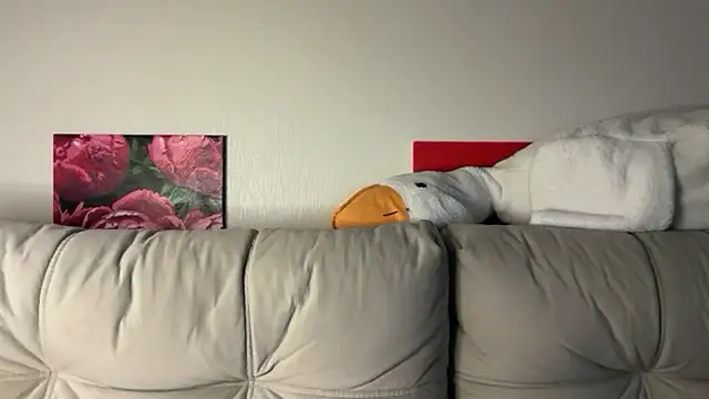 StellarAlice online show from 05/28/26, 08:26