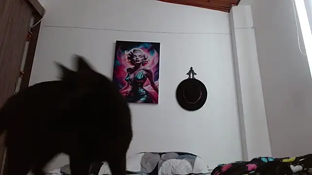 Crystal Star  online show from 03/07/26, 12:54