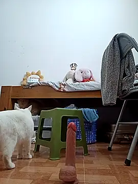 July-Asian online show from 12/01/25, 12:44