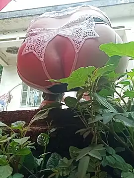 July-Asian online show from 05/24/26, 12:54