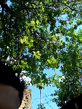 novinho safado   online show from 12/05/25, 05:55