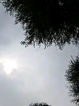 Desiandaj online show from 11/28/25, 04:01