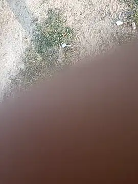 Desiandaj online show from 11/26/25, 02:44