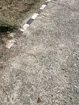 Desiandaj online show from 11/30/25, 07:53