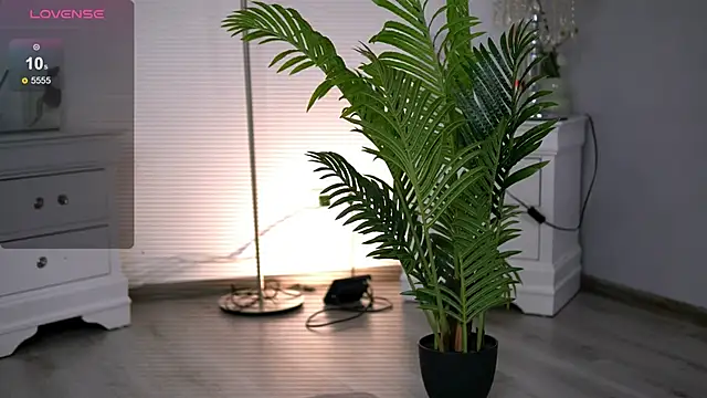 HotMollyX online show from 01/11/26, 05:58