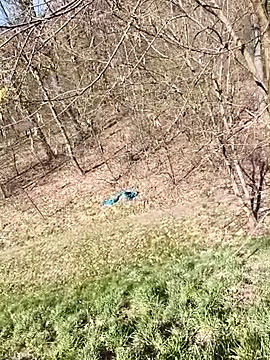 kot766 online show from 04/07/26, 11:23