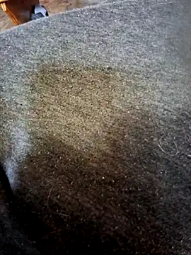 Duck135 online show from 04/01/26, 11:55