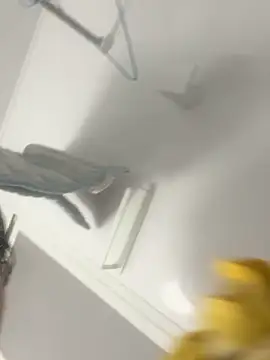 hiromu53 online show from 12/05/25, 12:15