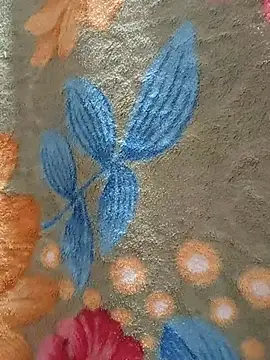 Cute plak02 online show from 06/29/26, 05:58