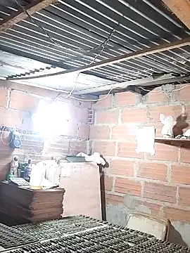 Snapshot of hoteder chatting on 12/18/25, 12:42 hoteder online show from 12/18/25, 12:42